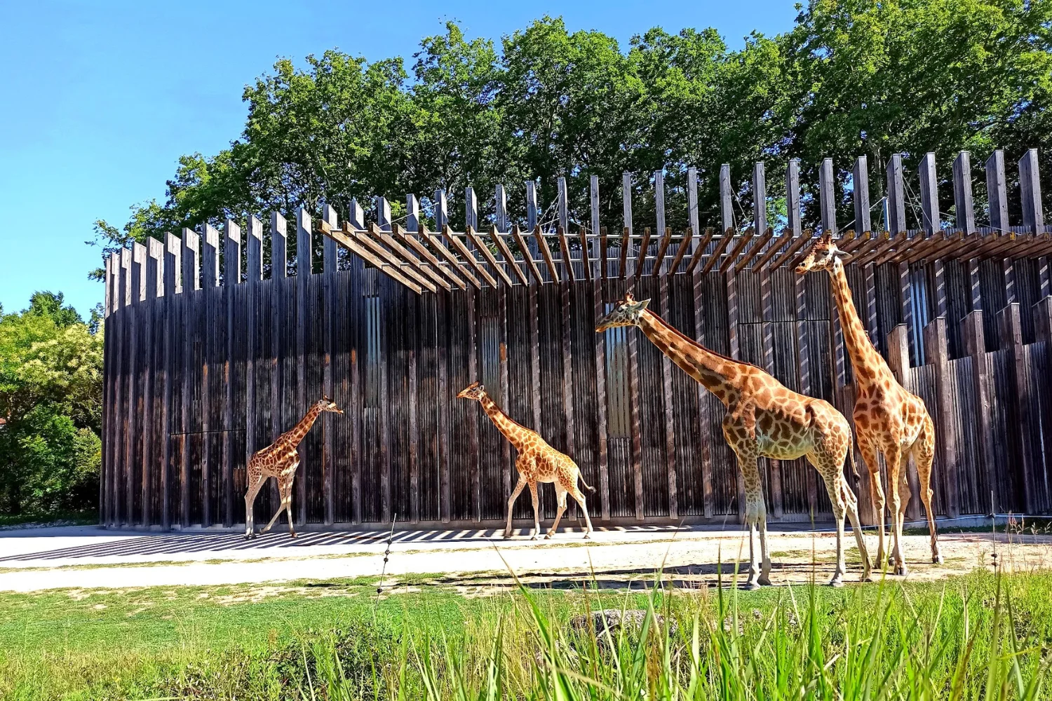 anniversaire enfant Lyon 6