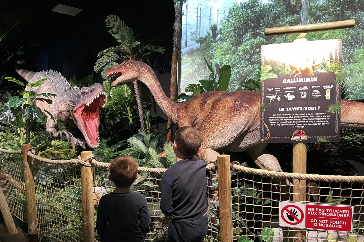 anniversaire enfant lyon 6